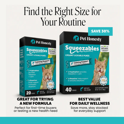 Pet Honesty Squeezables Calming Supplement Lickable Purees for Cats with Real Salmon, 20 Pouches