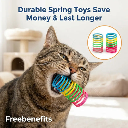 Cat Spring Toys, 16/80 Pack Cat Spiral Springs for Indoor Cats, Colorful & Durable Plastic Spring Coils Attract to Swat, Bite, Hunt, Interactive Toys for Kittens