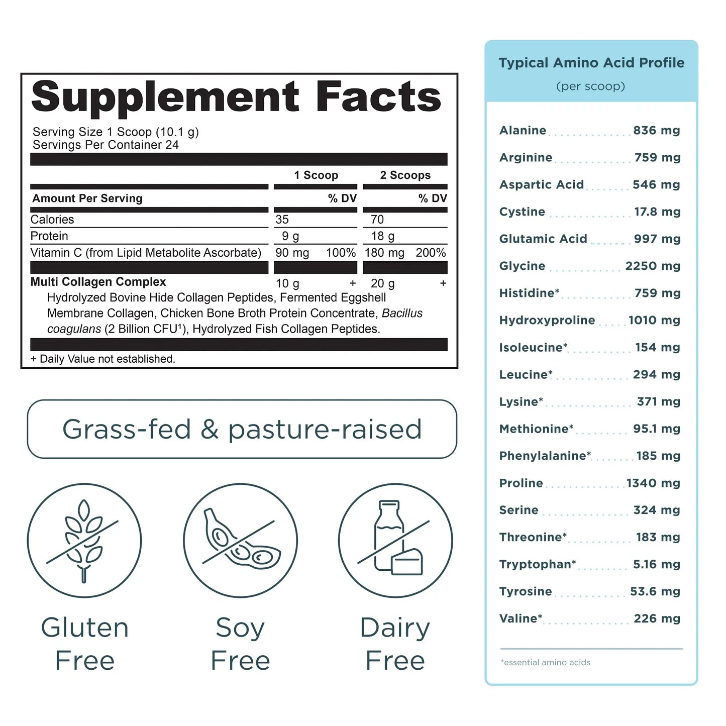 Multi Collagen Protein | Powder Unflavored (24 Servings)
