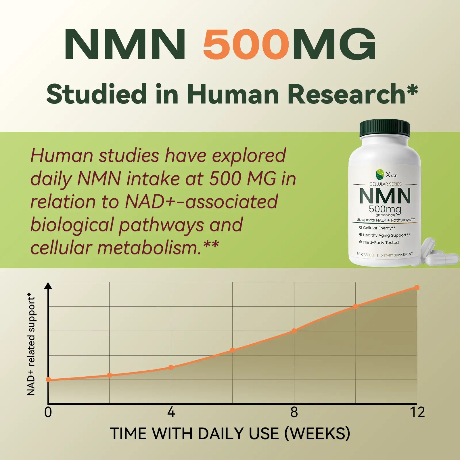 XAGE NMN 500Mg Antioxidant Capsules - Edible Dietary Supplements for Cellular Energy Support, Metabolism Boost, Body Health