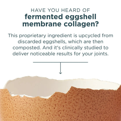Multi Collagen Protein | Powder Unflavored (24 Servings)