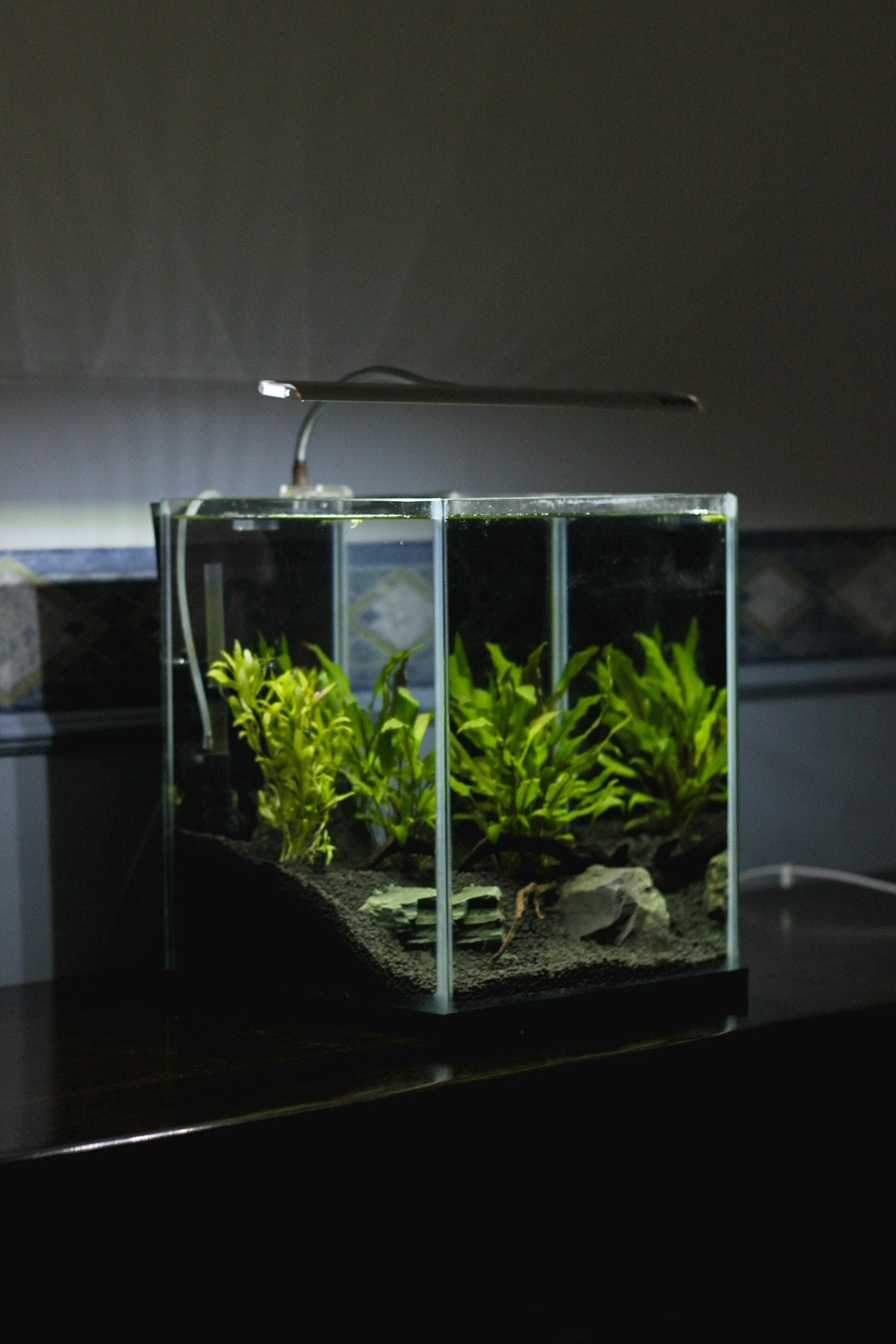 Terrarium with lamp