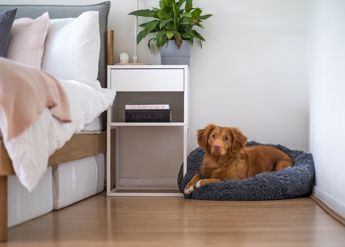 Cozy pet bed with plush fur texture