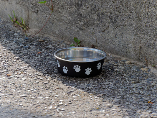 Black dog bowl with paw prints